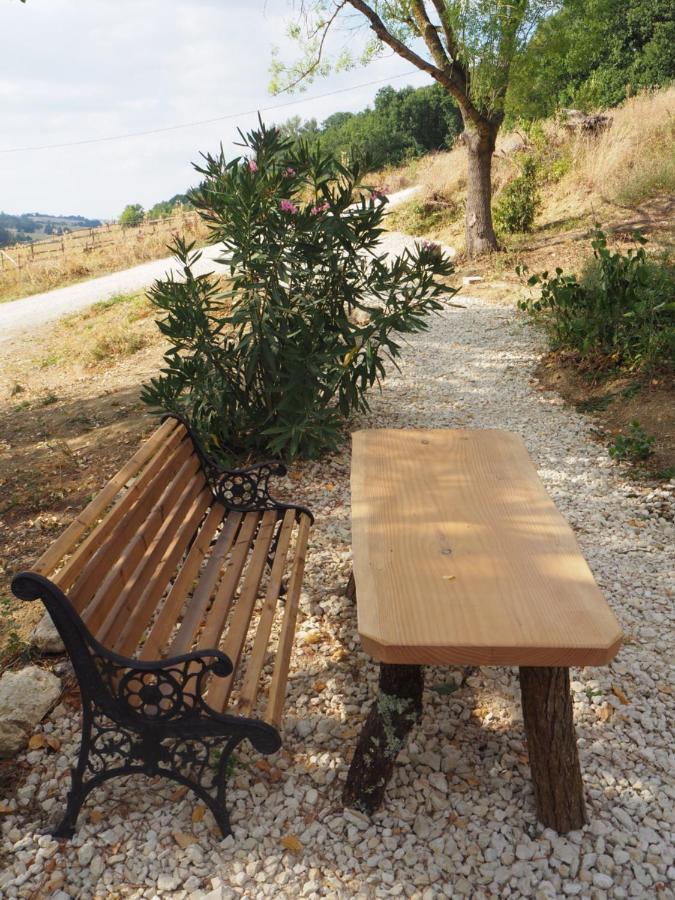 Gite Les Cabanes De Fallot Pour 15 Personnes - Piscine Naturelle L'isle-Bouzon 外观 照片