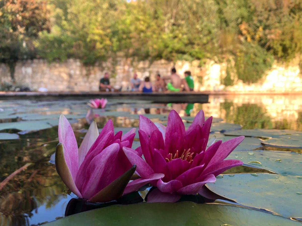 Gite Les Cabanes De Fallot Pour 15 Personnes - Piscine Naturelle L'isle-Bouzon 外观 照片
